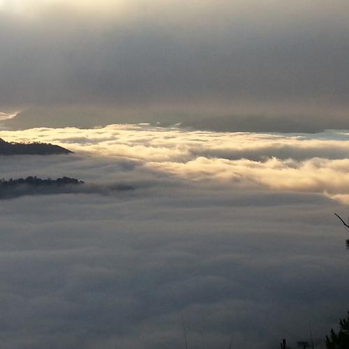 Photo #4639136