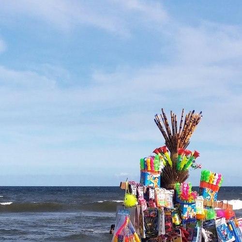 Photo #4639221