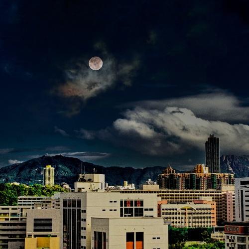 Photo #4639535
