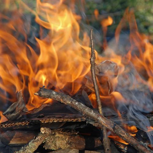 Photo #4639542