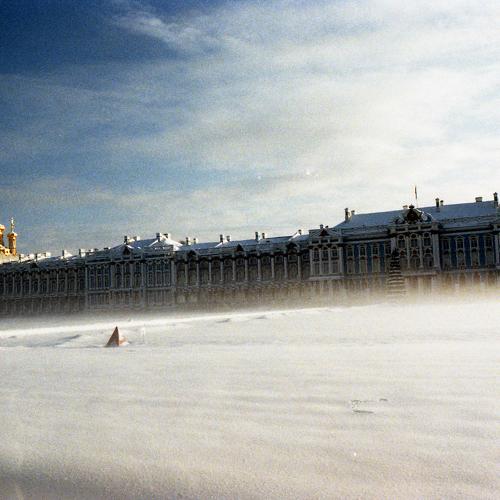 Photo #4639610