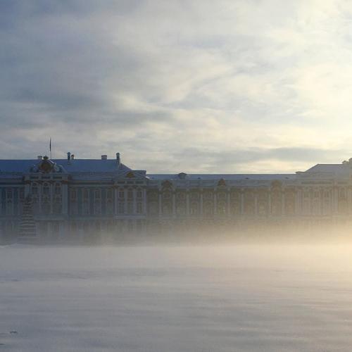 Photo #4639618