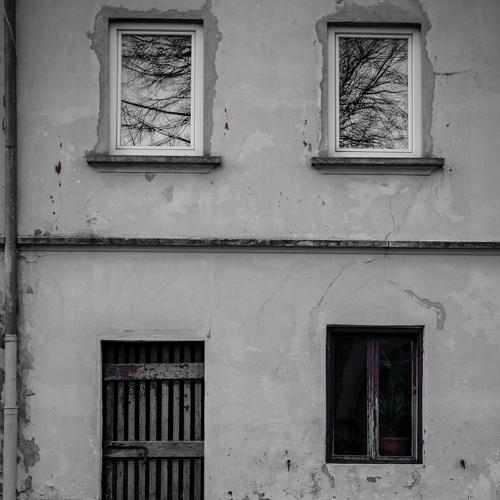 Photo #4639734