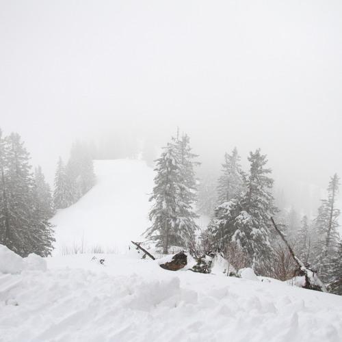 Photo #4639769