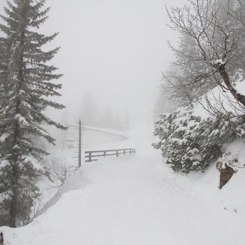 Photo #4639770