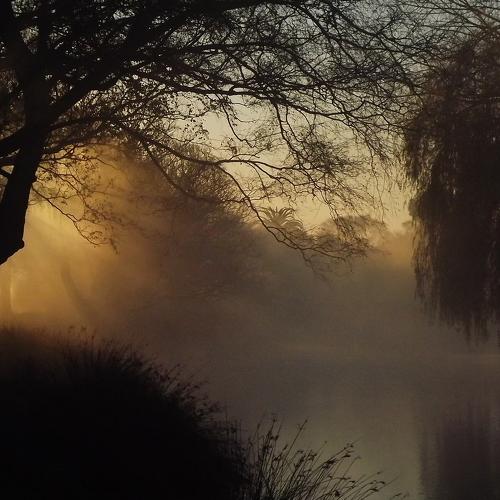 Winter morning mist