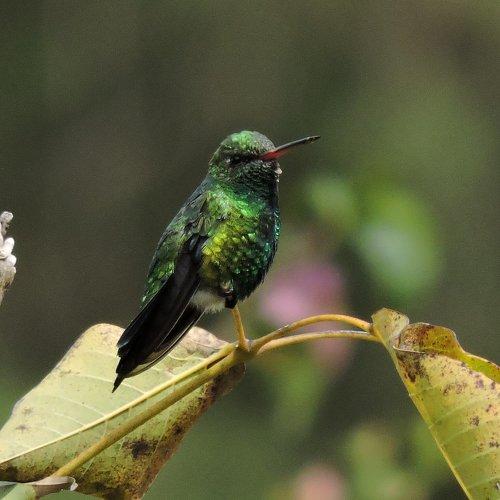 Photo #4639976
