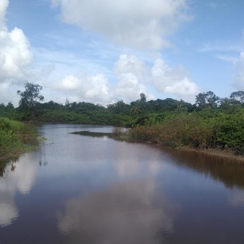 Photo #4639982