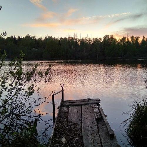 Photo #4640724