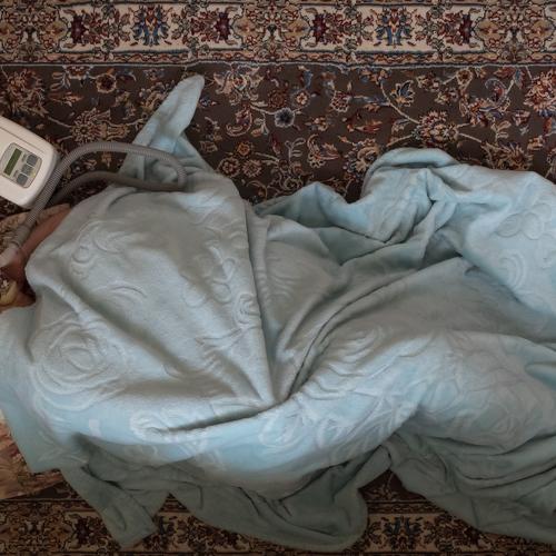 Photo #4641051