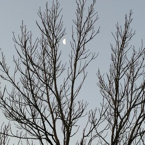 Photo #4641057