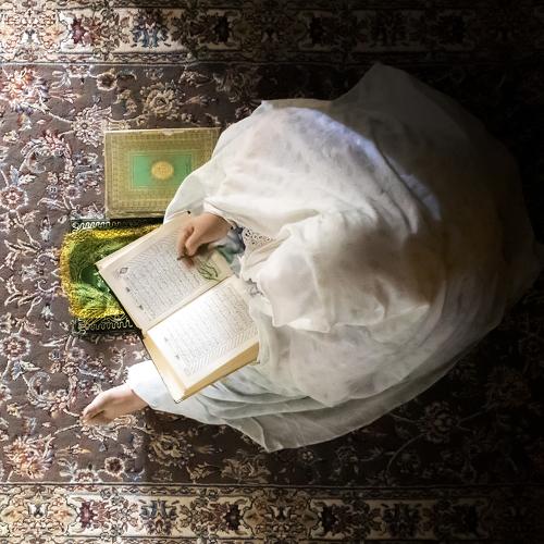 Photo #4641076