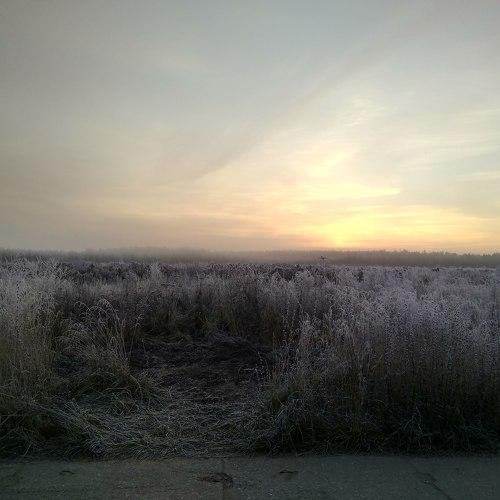 Photo #4641083