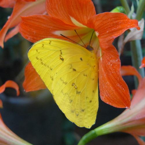 Photo #4641176