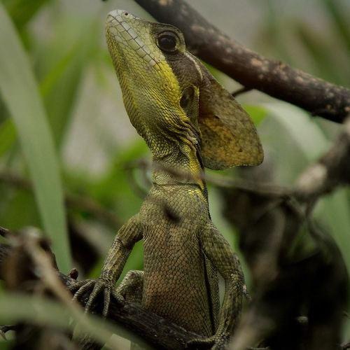 Photo #4641331