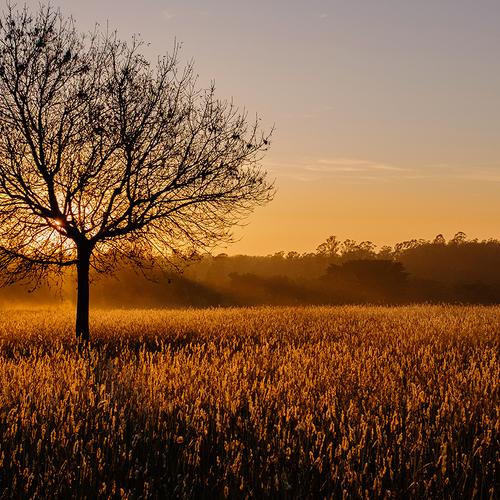 Photo #4641392