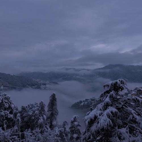 Photo #4641398