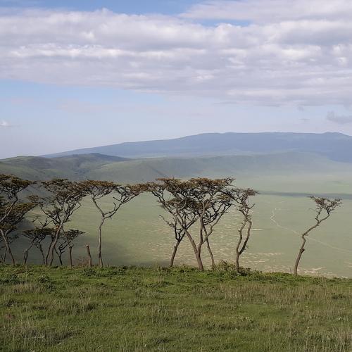 Ngorongoro serenity