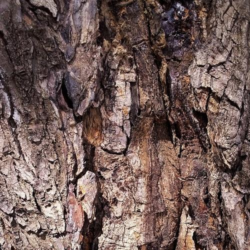 Photo #4641636