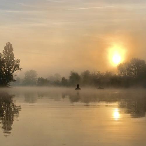 Photo #4641784