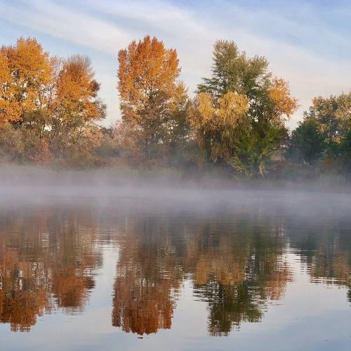 Photo #4641786