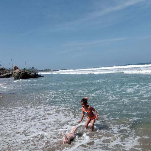 Photo #4642065