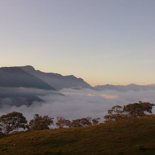 Photo #4642087