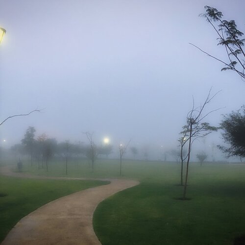 Photo #4642217