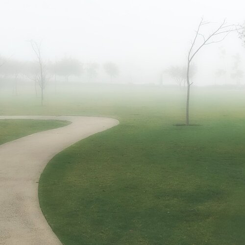 Photo #4642218