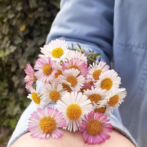 Photo #4642694