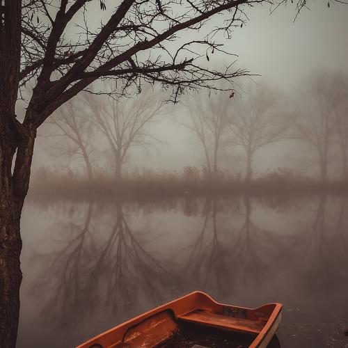 Photo #4642738