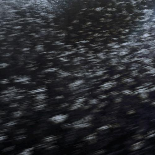 Photo #4642820