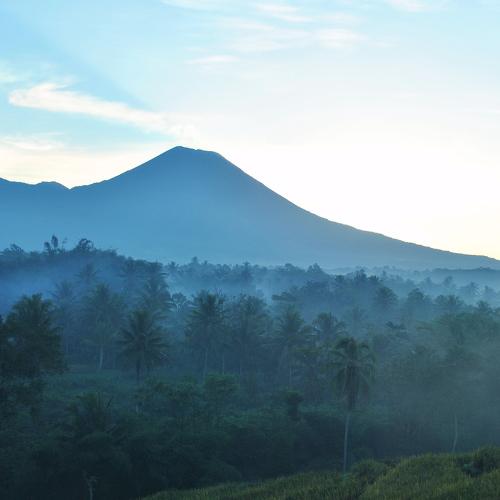 Photo #4642827
