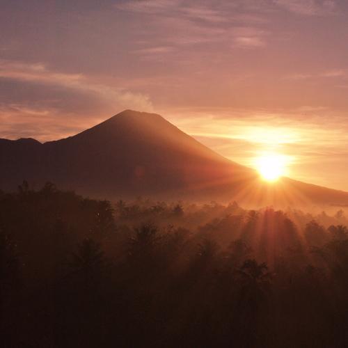 Photo #4642830