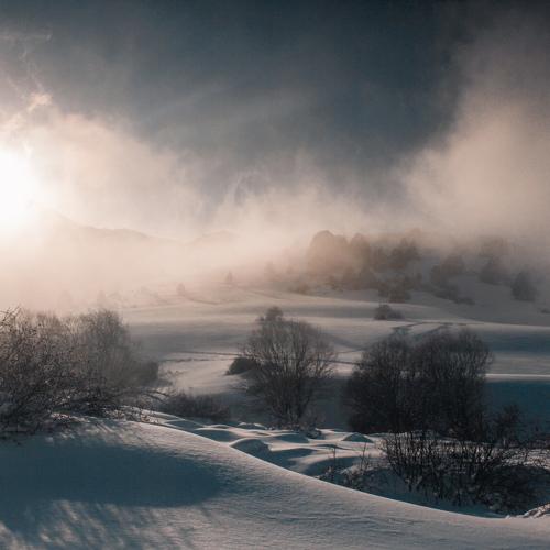 Photo #4642878