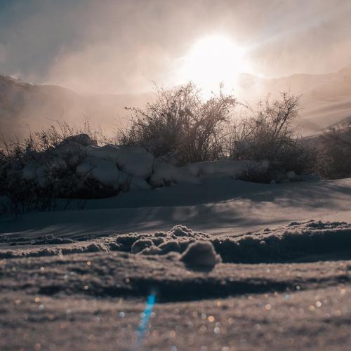 Photo #4642879