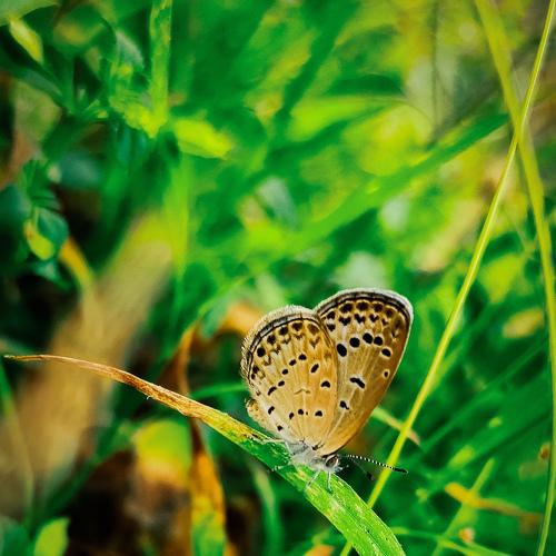 Photo #4642982