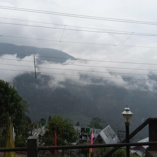 Photo #4643165
