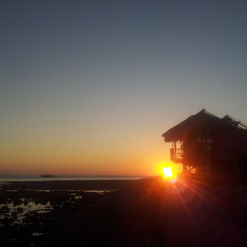 Photo #4643322