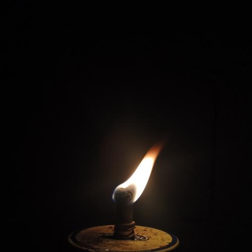 Photo #4643344