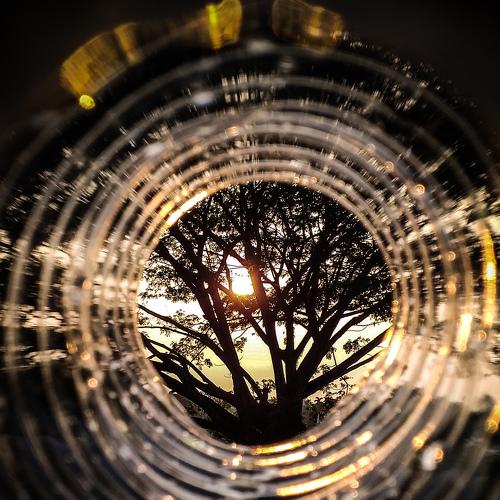 Abstract