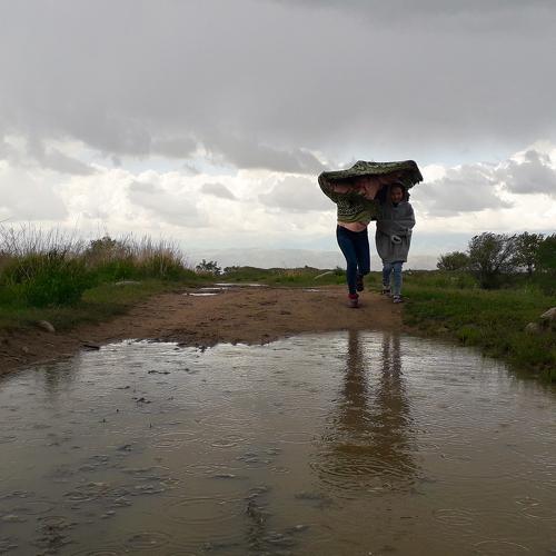 Photo #4643953