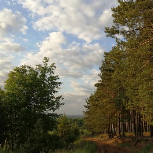 Photo #4643990