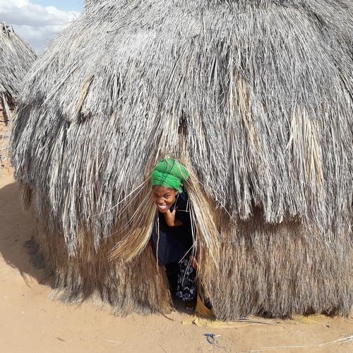 Photo #4643992