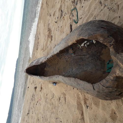 Photo #4644003