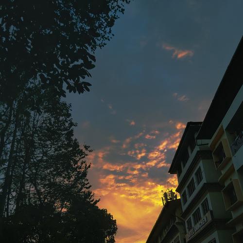 Photo #4644427