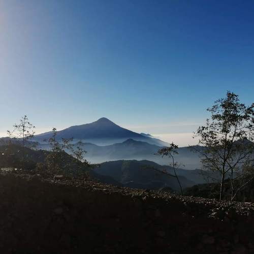 Photo #4644786