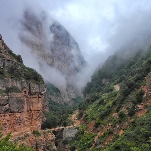 Foggy Canyon