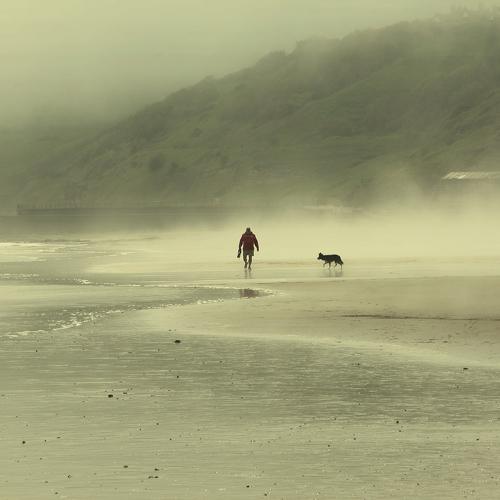Photo #4644844