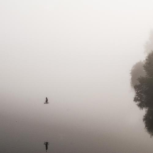 Photo #4645143